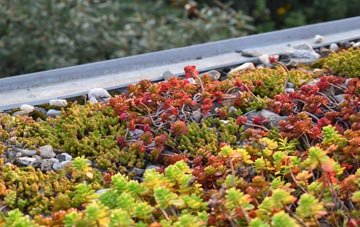 the cost of Shottle green roof installation